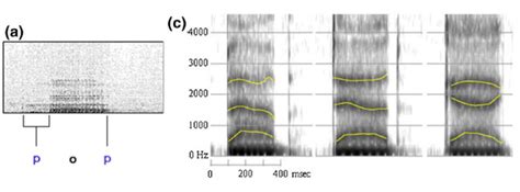 Plosive consonants in L2 English: a problematic area for CG speakers ...