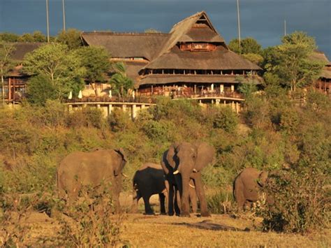 Victoria Falls Safari Lodge - African elegance in Victoria Falls, Zimbabwe