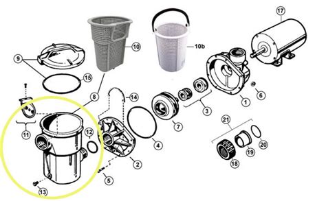 Pool Pump Parts Explained - In The Swim Pool Blog