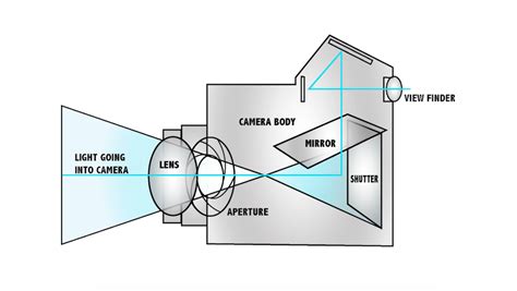 Camera Basics: How To Understand Aperture - The Slanted Lens