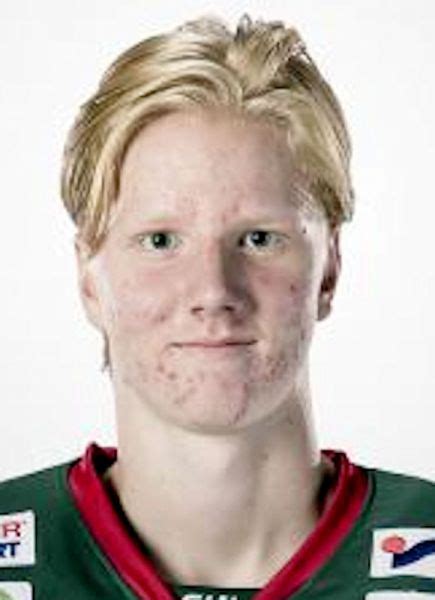 Player photos for the 2017-18 Frolunda HC at hockeydb.com