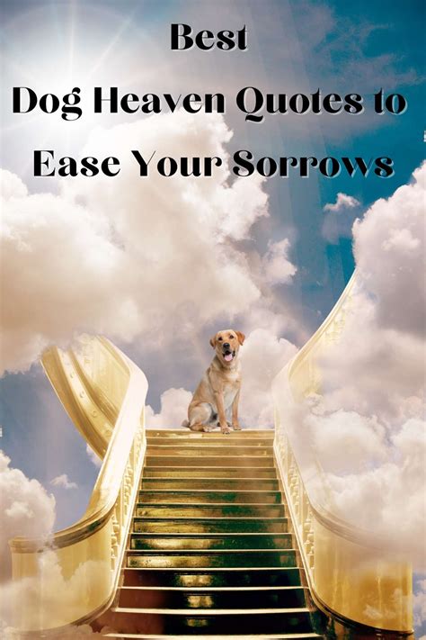 Dog heaven quotes – Artofit