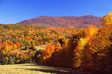 Best Mount Greylock State Reservation Stock Photos, Pictures & Royalty-Free Images - iStock