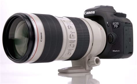 Canon EOS 7D Mark III - Daily Camera News