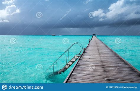 Tropical Beach in Maldives with Few Palm Trees Stock Image - Image of summer, tropical: 262728589