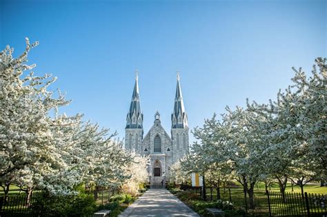 Villanova University | Villanova university, Villanova campus, Villanova