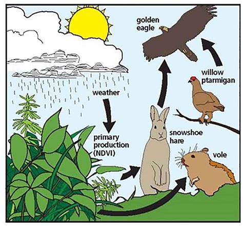 Principles of Wildlife Damage Management | Training Information for ...