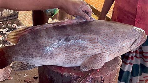 Giant Hamour Fish Cleaning & Chopping By Expert Fish Cutter In Bangladesh Fish Market - YouTube