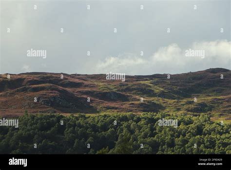 In and around Loch Insh Stock Photo - Alamy