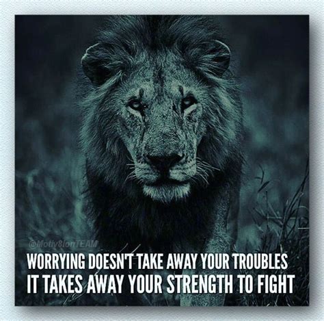 Strength quote with lion Inspirational Quotes With Images, Motivational Quotes For Success ...