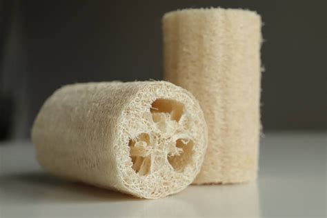 Natural Luffa loofah - Etsy