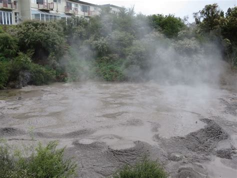 A mud pool at Te Puia in Rotorua, New Zealand | Rotorua, New zealand, Pool