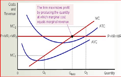 fall back Concise Obedient the marginal cost curve is shaped like a nike swoosh School teacher ...