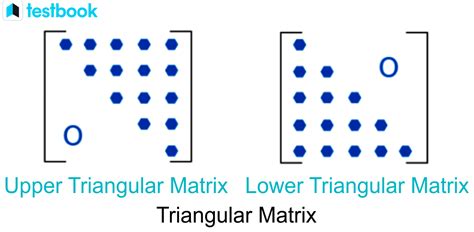 Upper & Lower Triangular Matrix: Determinant, Inverse & Examples