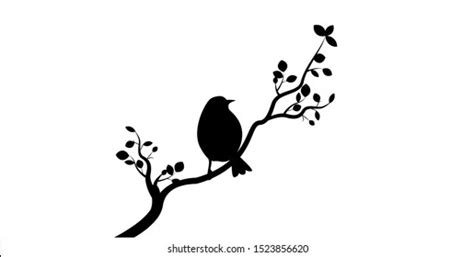 Bird Silhouette On Branch