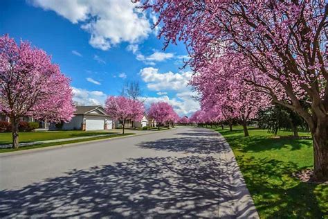 Spring Weather And How It Affects Insect Activity