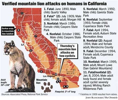 Map of verified mountain lion attacks on humans in California, as of 2004 [911x768] : r/MapPorn