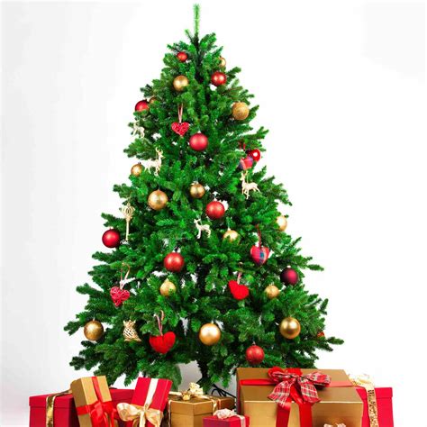 The 7 Best Places to Buy a Christmas Tree in 2021