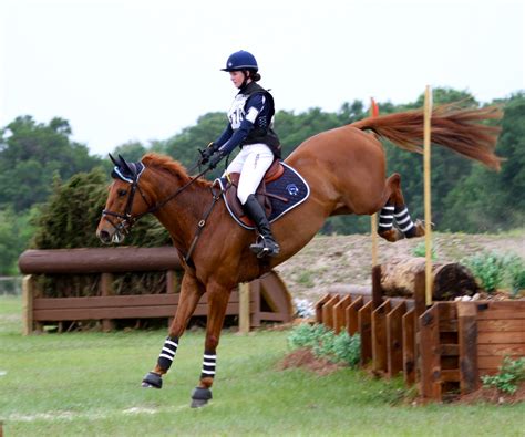 Pin by Nicole on Equus | Eventing horses, Eventing cross country, Chestnut horse