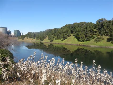 Tokyo Imperial Palace offers gorgeous gardens for scenic strolls