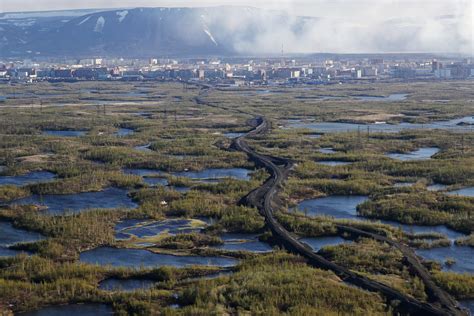 Is The Taigan Legal In Belarus