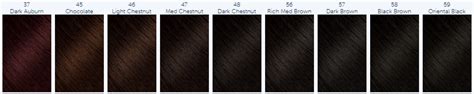 Bigen Hair Dye - Choose Your Color! – Ball Beauty Supply