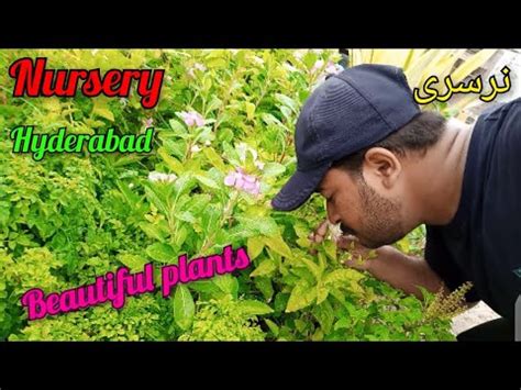 Hyderabad Nursery beautiful plants - YouTube