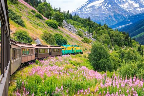 11 Fascinating Things to Do in Skagway | Celebrity Cruises