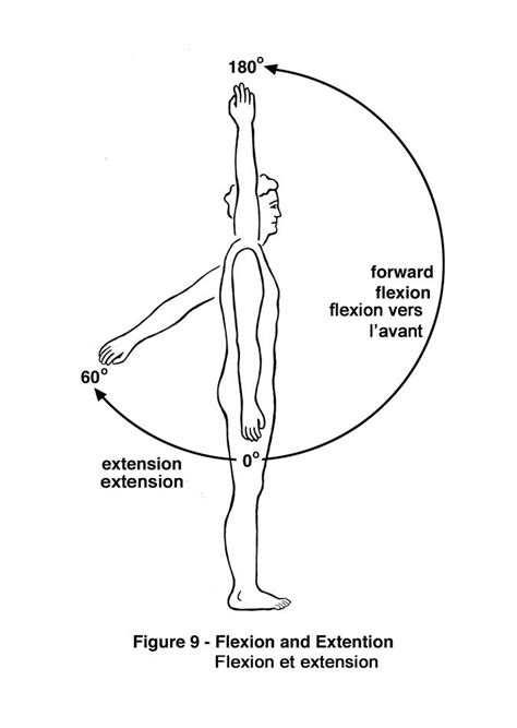 Shoulder Flexion Manual Muscle Test