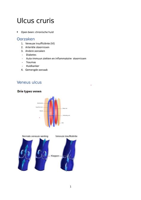 Ulcus cruris - Samenvatting verpleegkundig redeneren en handelen ...