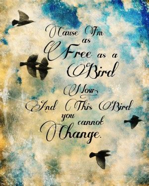 Quotes About Freedom And Birds. QuotesGram