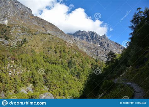 View Of Kangchenjunga National Park, Along The Goechala Trek, En-route ...