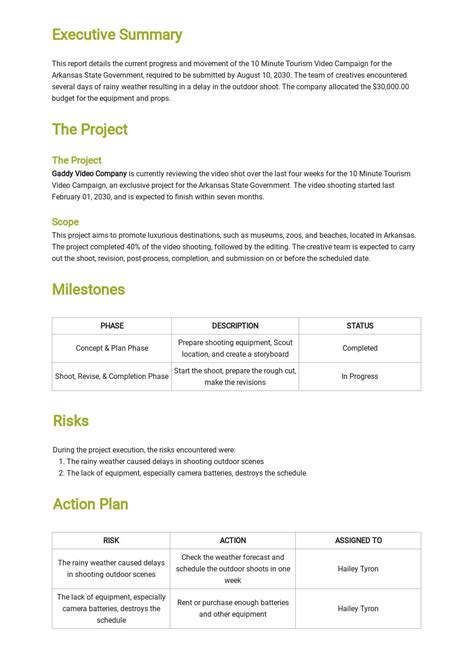 Activity Report Template