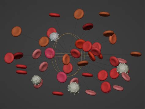 Blood Flow Animation 3D model - TurboSquid 1927321