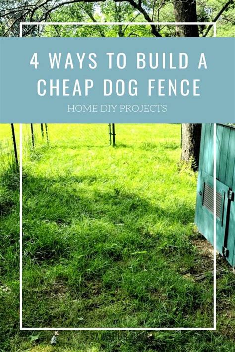 4 Dog Fence Ideas - How to Build for Cheap | SawsHub