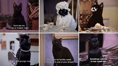 Brilliantly Sarcastic Quotes From Sabrina's Salem Saberhagen Quotes