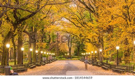 Central Park Mall New York City Stock Photo 1814544659 | Shutterstock