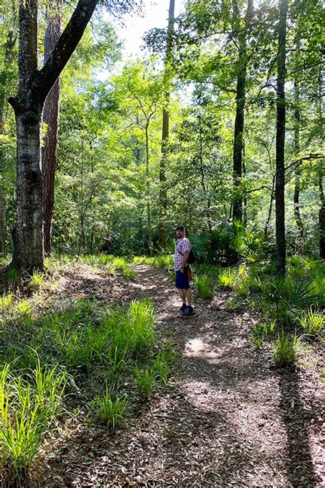 Suwannee River State Park history, Live Oak Florida — SOUTH OF SEEDS