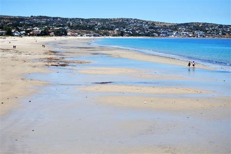 Brighton Beach | City of Holdfast Bay