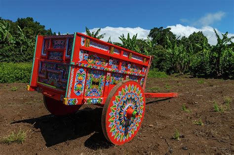 traditional ox cart of Costa Rica Photograph by Raul Cole - Fine Art America