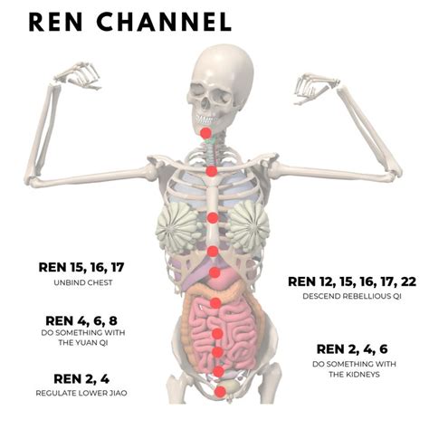 ren channel | Acupuncture points, Qigong, Acupuncture