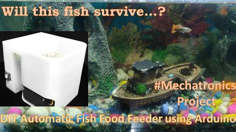 DIY Automatic Fish Food Feeder. - YouTube