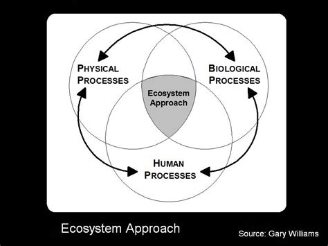 FLASHBACK TO 2002: Build a Vision, Create a Legacy - which is the Tenth ...