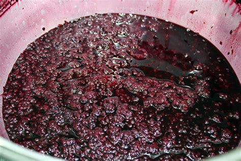 Bramble Jelly Recipe - The Thrifty Squirrels