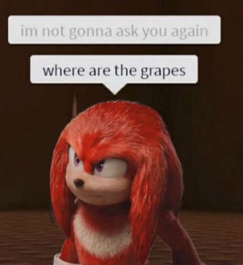 knuckles meme in 2022 | Knuckle, Echidna, Memes