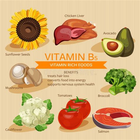 Vitamins and Minerals Foods Illustration. Vector Set of Vitamin Rich ...