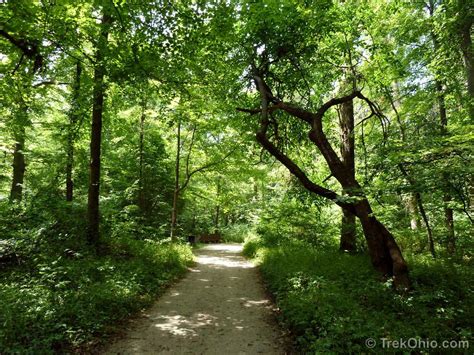 Blacklick Woods Metro Park | TrekOhio | Park, Ohio destinations ...