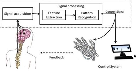 Brain-computer interface (BCI) - Assignment Point