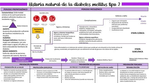 Historia Natural de la Diabetes Mellitus Tipo 2 - Melissa Ambrocio ...