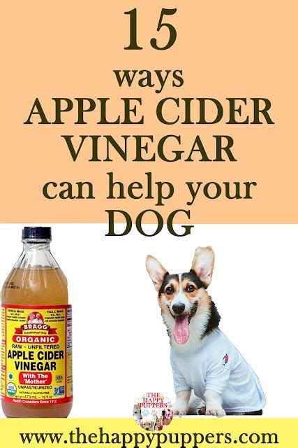 15 ways apple cider vinegar can help you dog | Apple cider vinegar dogs, Dog rash, Dog remedies